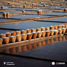 The philippines is a recognized member of the international olympic committee since 1929. Wvsc4nxglrevzm