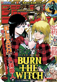 Burn The Witch Color Cover Manga Covers Witch Manga Anime Wall Art
