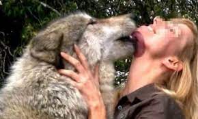 Mi dispiace, signora, ma non posso fare niente per lei. Compravano Cani Per Farci Sesso Smascherate Quattro Donne Prima La Martesana