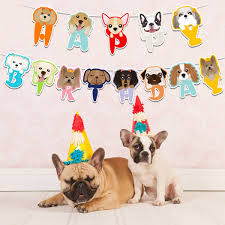 Shindigz offers all the baby shower supplies you need to throw the a wonderful baby shower. Toys Games Party Supplies Dog Party Decorations Woof Dog Balloons Walking Dog Balloons Dog Party Hats For Puppy Dog Birthday Pet Theme Baby Shower Birthday Party Supplies Party Supplies Kopa Or Kr