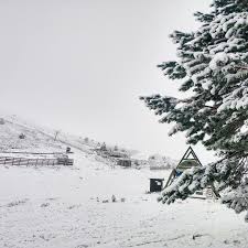 Disfruta de tu visita a madrid en familia. La Cima De Madrid Amanece Cubierta De Nieve Este Miercoles 23 De Octubre Zona Retiro