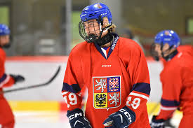 Na World Hockey Challenge bude bojovat čtveřice energetiků