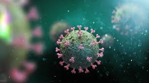 Seven tonnes of fertiliser was dumped outside the west london building that houses the daily mail, mail on sunday, i, independent and evening standard. No Nepal Variant Of The Coronavirus Who Says