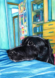 Looks excellent and my sister in law loves it. Jim Griffiths Artist On Twitter Custom Pet Portraits By Jim Griffiths Max The Labrador Https T Co Zn8z42fugw Blacklabrador Petportrait Custompetportrait Drawing Https T Co 3zii4vu3rq