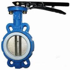 Résultat de recherche d'images pour "Series DS Butterfly Valve,"