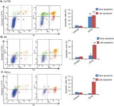 Fd10 Induces Apoptosis In Human Hematolymphoid Cells Flow