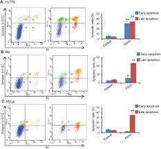 Fd10 Induces Apoptosis In Human Hematolymphoid Cells Flow