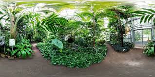 Mit ausstellungen, vorträgen und führungen bietet er ein attraktives. 360 Panorama Botanischer Garten Bonn Palmenhaus Foto Bild Pflanzen Pilze Flechten Baume Palmen Bilder Auf Fotocommunity
