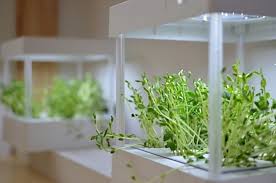 10 Easy Pieces Grow Lights For Indoor Plants Gardenista