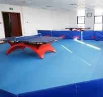 table tennis floor carpet