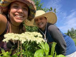 HERBALISTS WITHOUT BORDERS INC