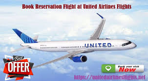 Best Flight Ticket At United Airlines Flights In 2020 Airline Flights United Airlines Service Trip