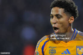 5,953 University Of New Mexico Photos & High Res Pictures