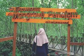 Taman negara pulau kukup wikipedia bahasa melayu ensiklopedia bebas. Lipi Hutan Bakau Indonesia Dalam Kondisi Baik Antara News