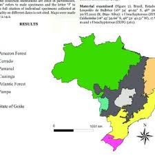 Em entrevista à comunicação setorial da ueg, antonio cruvinel, novo reitor da universidade estadual de goiás, fala sobre os desafios de estar à frente da universidade e sobre como se dará a sua gestão. Biomes Of Brazil Indicating The Location Of State Of Goias Download Scientific Diagram
