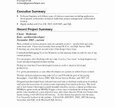 Executive Summary Sample For Proposal Fresh Business Plan Executive Summary Format How T Executive Summary Executive Summary Template Executive Summary Example