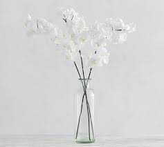 We did not find results for: Faux Phalaenopsis Orchid Stem White Flower Vase Arrangements Phalaenopsis Orchid Faux Flower Arrangements