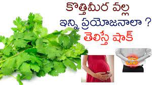 Top Benefits Of Coriander Leaves In Telugu Home Made Health Tips For Women Men Youtube