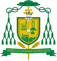 Record and instantly share video messages from your. File Coat Of Arms Of Hipolito Reyes Larios Svg Wikimedia Commons