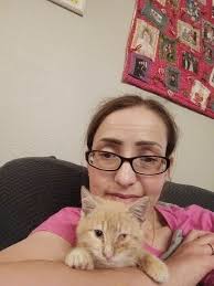 NOT SELLING I AM LOOKING FOR MY BABY HES A YEAR OLD HES CREAM COLOR BIG  MALE CAT HES BEEN MISSING FOR 3 DAYS THE AREA IS KENNEDY AND ELLIS IVE BEEN