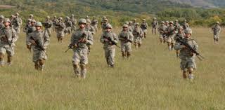 Available online at the library. 11b Army