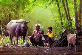 Káº¿t quáº£ hÃ¬nh áº£nh cho hinh anh nhung dua tre doc sach o thon que