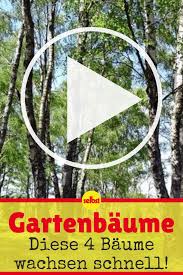 Schnellwachsende Baume Gartenbaume Schneller Wachsen Und Baum