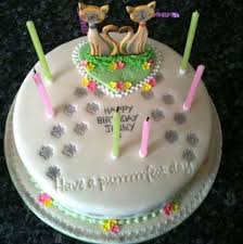 Check out our cat birthday cake selection for the very best in unique or custom, handmade pieces from our pet food & treats shops. 50 Best Cat Birthday Cakes Ideas And Designs 2021 Happy Birthday Wishes 2021