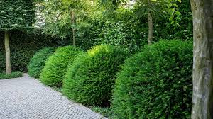 James Aldridge Garden Design Garden Design Landscape Design