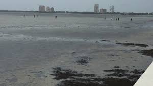 Бвс 21 fo% 51.1% бол 0/1 мш 2 хиты 24 блок 18 при 11. Hurrikan Irma Saugt Das Wasser Weg Doch Spazierganger Bringen Sich In Grosse Gefahr Artikel Von The Weather Channel Weather Com