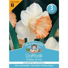We did not find results for: Mr Fothergill S Bulbs Daffodil Shirley Ann Mitre 10