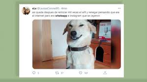 Si te interesó esto, quizá te interesen estos otros temas: T4g0o2dldcpoom