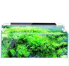 Sunsun Ads 500c Planted Tank Led Light Amazon In Pet Supplies