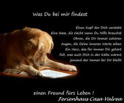 Hunde Willkommen Www Casavalrea De Ferienhaus In Italien Freiheit Rumspringen Wandern Vom Haus Aus Ohne Autoverkeh Spruche Tiere Hunde Gedichte Hund Zitat