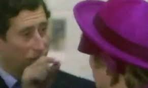 princess diana pagoda hundred harmonies