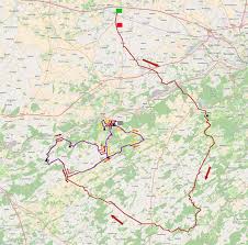 This race has been held every year since its inception in 1936 la fleche wallonne is one of three ardennes classics races along with. 2015 La Fleche Wallonne Wikipedia