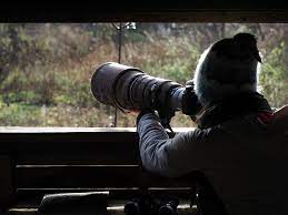 Top 10 Essential Photography Gear For Wildlife Photography Ephotozine