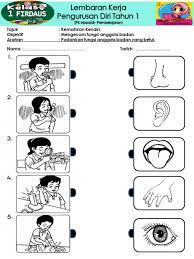 video edukasi anak video anak. Fungsi Anggota Badan Interactive Worksheet