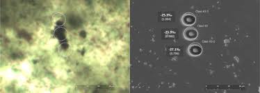 A radioactive isotope is an atom unstable, which emit nuclear radiation.radioactive dating is based on the properties of radioactive isotopes, essentially half life and radioactive decay. Hotly Debated 3 5 Billion Year Old Microbe Fossils Get Another Look Ars Technica