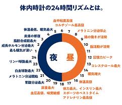 世界一眠らない国民 日本人の免疫が危ない tarzan web ターザンウェブ 健康のモチベーション 健康と美容 ダイエット 格言