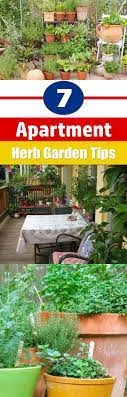 7 Tips For A Fresh Herb Garden In Your City Apartment Fresh Herbs Garden Apartment Herb Gardens Apartment Herb Garden