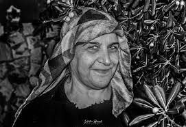 Salvatore Ranuncolo (@salvatore.ranuncolo) • Facebook