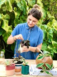 Aprenda Alguns Segredos Para Multiplicar Plantas Em Casa Revista Circuito Portal De Noticias Da Granja Viana E Regiao