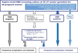 Image result for Group B Streptococcus Prophylaxis