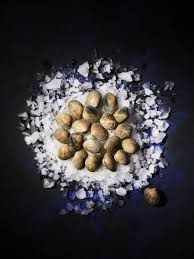 Les Palourdes Sont De Delicieux Petits Coquillages Peches Sur Les Cotes Atlantiques Sur Les Cotes De La Manche E En 2020 Palourdes Plateau De Fruits De Mer Delicieux
