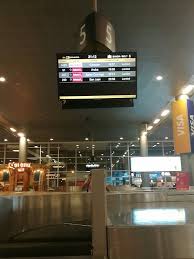 corina morin (@corinamorin)