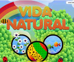 Juegos de discovery kids y juegos tipo discovery kids. Vida Natural Juego Interactivo De Discovery Kids Agua Org Mx