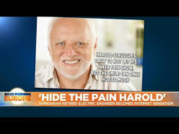 András istván arató (born 11 july 1945) is a retired hungarian electrical engineer and model. Hide The Pain Harold How A Retired Hungarian Man Reclaimed His Image From Memesters Youtube