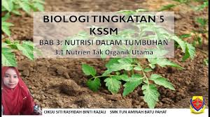 Sains tingkatan 5 bab 3. Biologi Tingkatan 5 Bab 3 Nutrien Tak Organik Utama Youtube