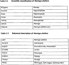 How to eat moringa leaves. Pdf Type And Amount Of Glucosinolates In The Leaves Of Moringa Oleifera Semantic Scholar